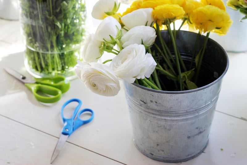 DIY Plant Crafts