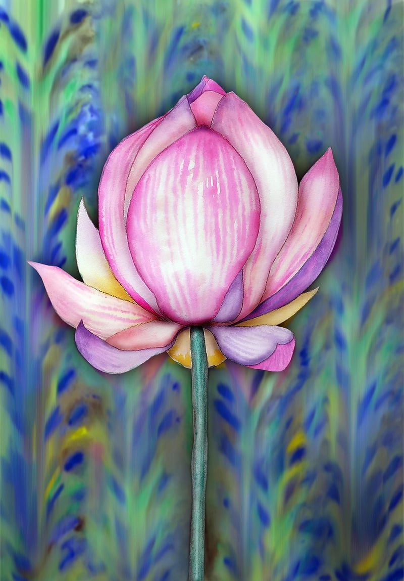 Flower Illustrations